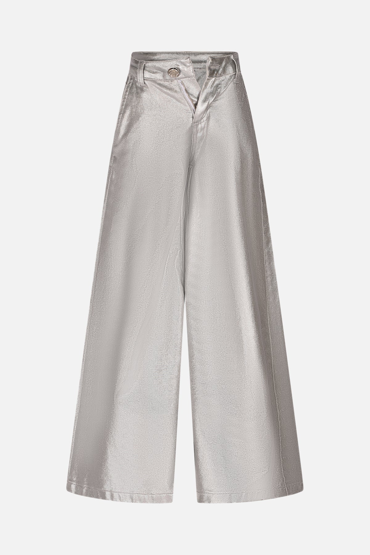 HLJPT01666.SILVER.1.jpg