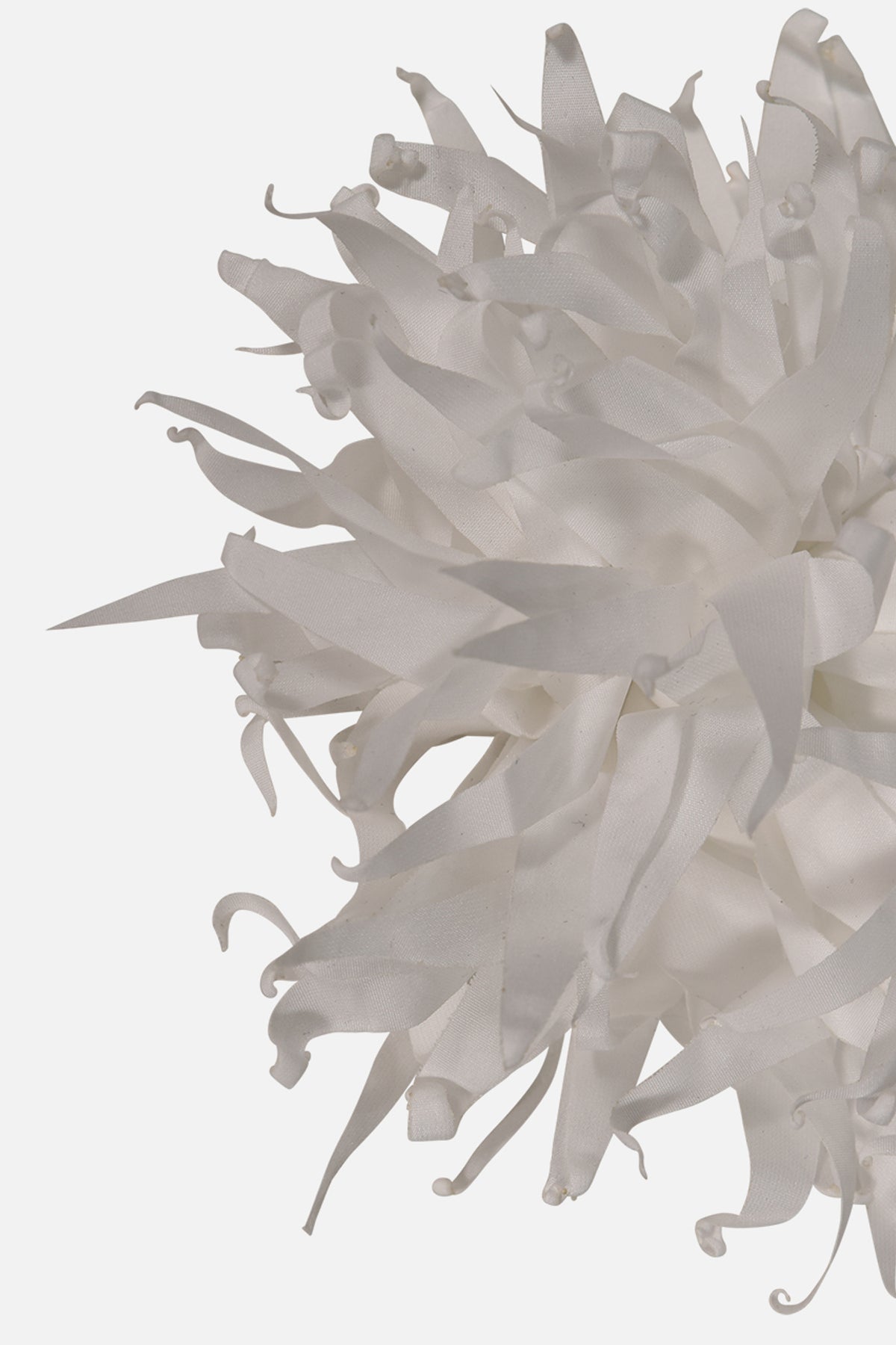 FNCAC01680.WHITE.3.jpg