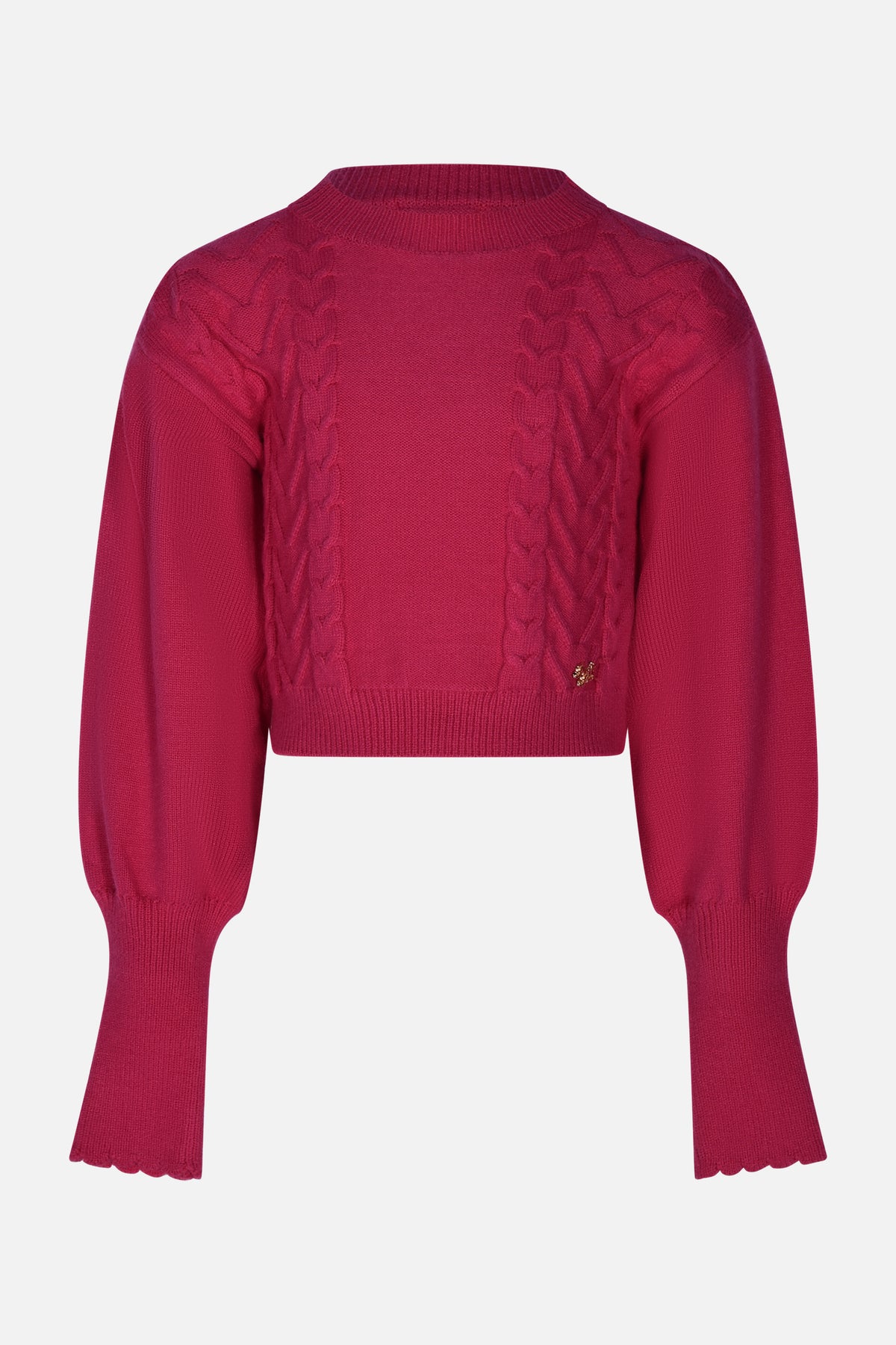 FCJSW00007.FUCSIA.1.jpg