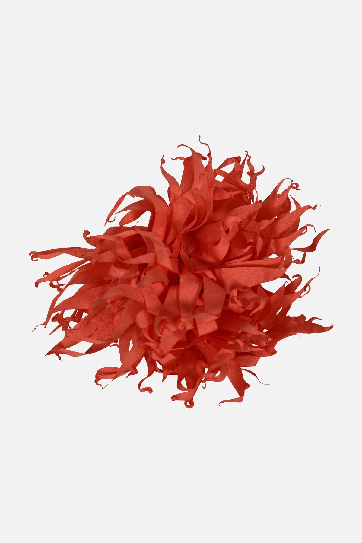 FNCAC01680.CORAL.2.jpg