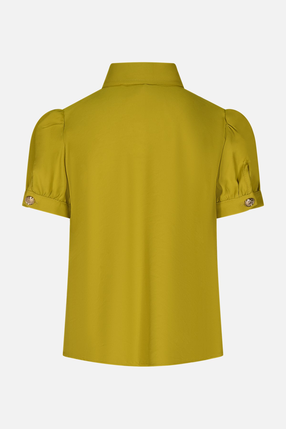 HLJSH01553.LIME.2.jpg