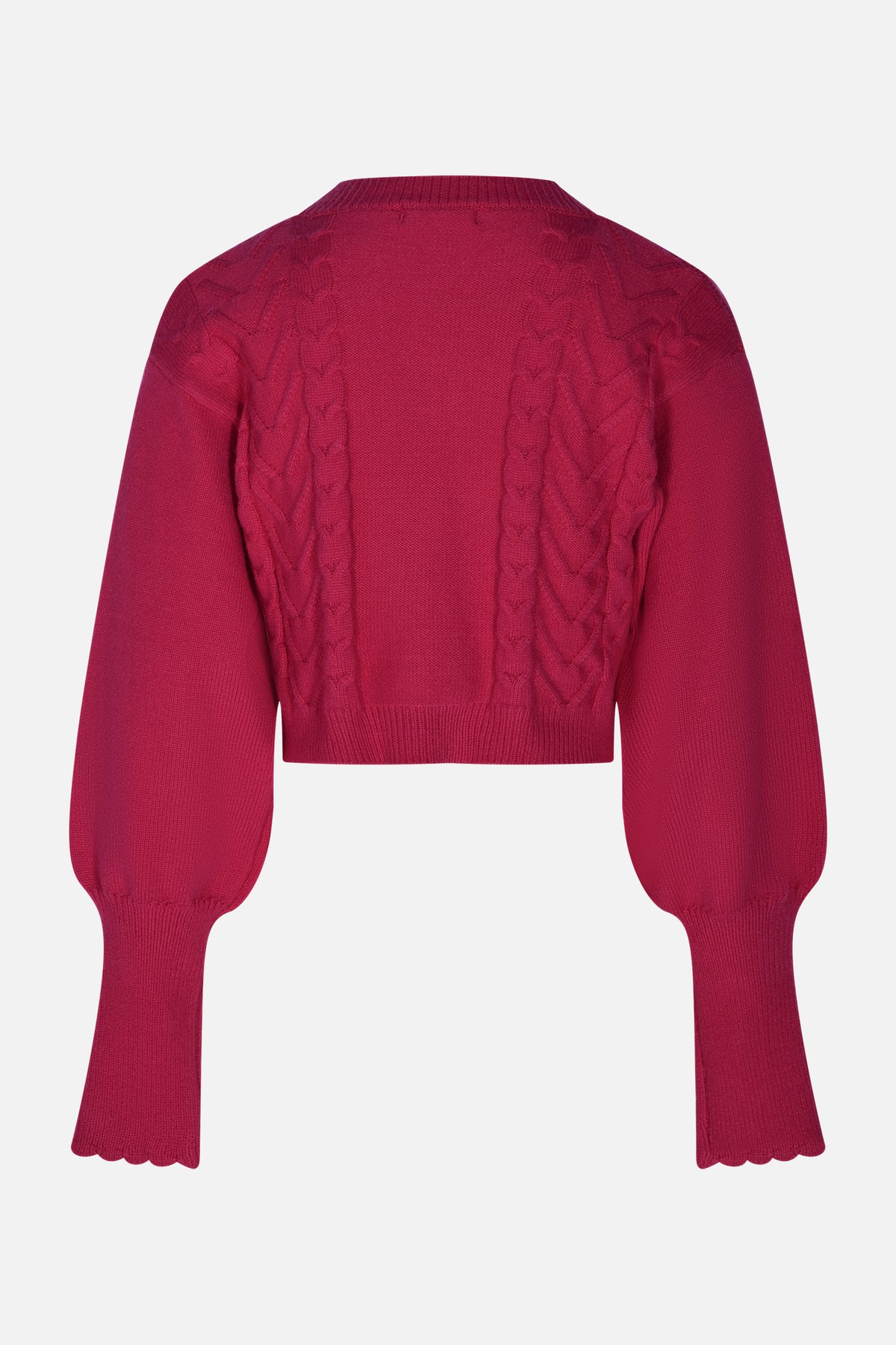 FCJSW00007.FUCSIA.2.jpg
