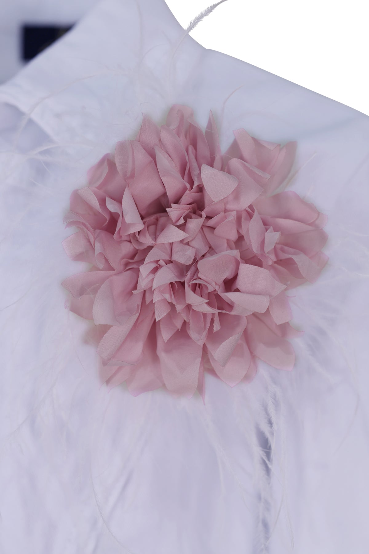 FNCJJK02811.WHITE-FNCJAC02806.033.jpg
