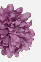 FNCAC01679.GLICINE.3.jpg