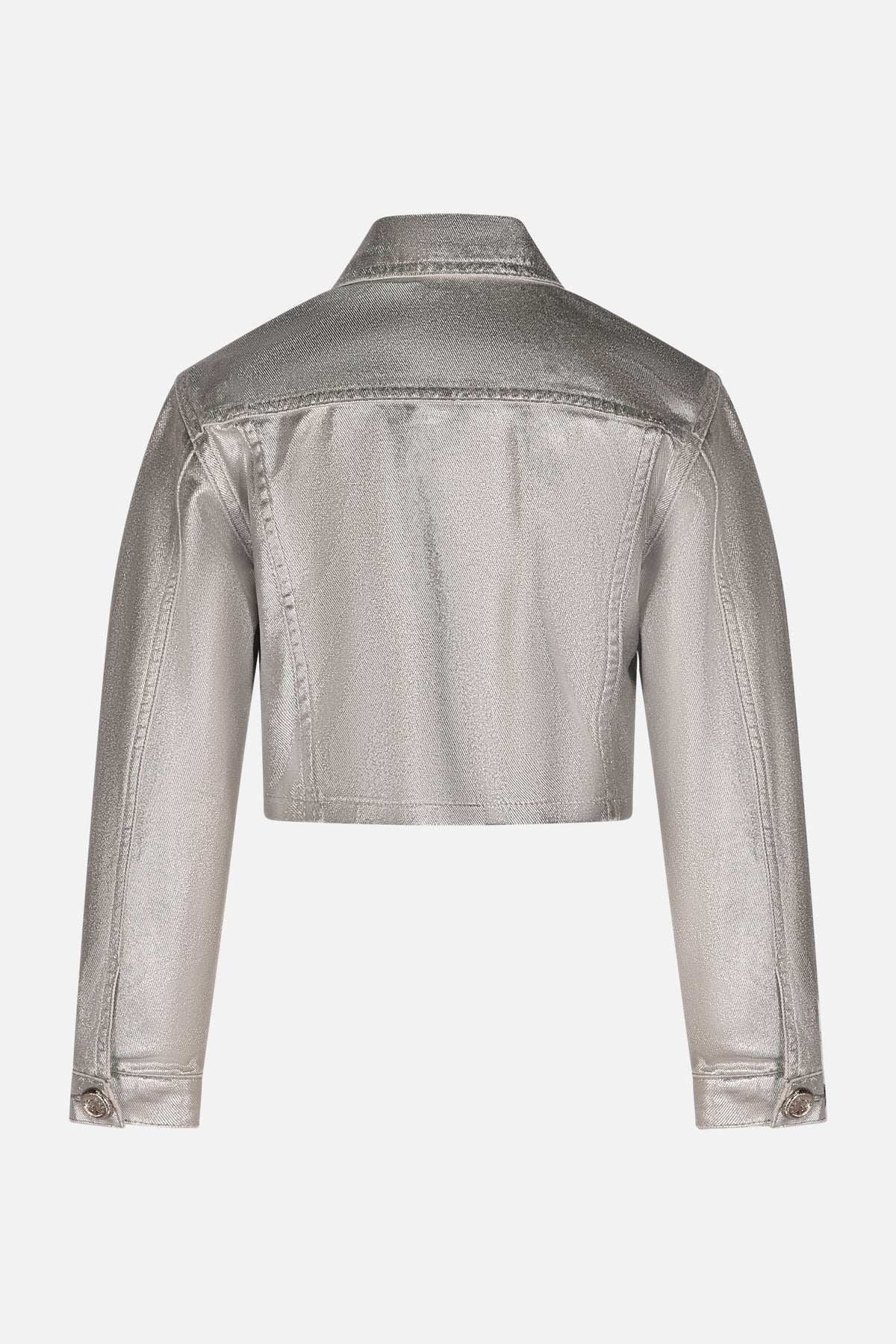 HLJJK01687.SILVER.2.jpg