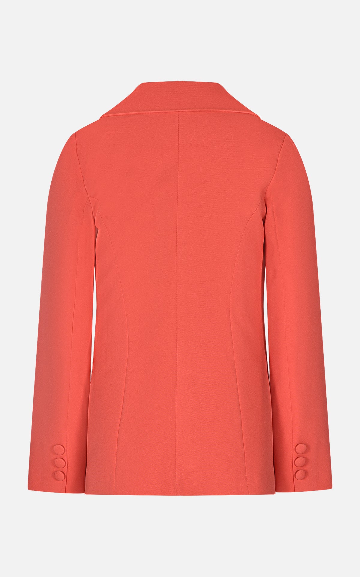 FNCJJK01082.CORAL.2.jpg