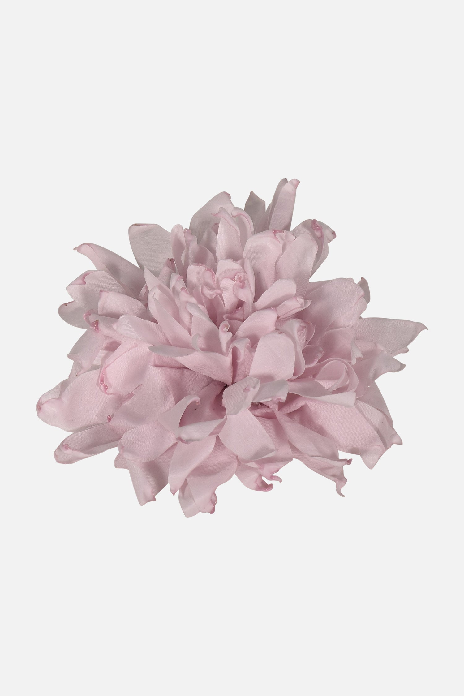 FNCAC01679.PINK.2.jpg
