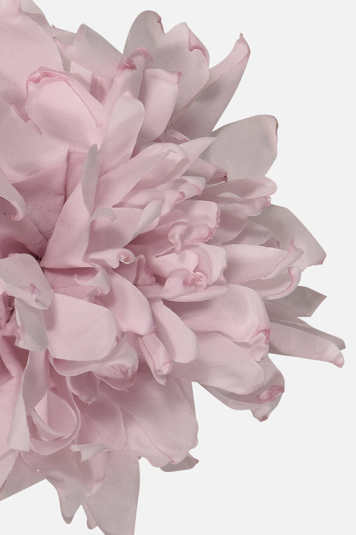 FNCAC01679.PINK.3.jpg