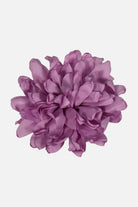 FNCAC01679.GLICINE.2.jpg