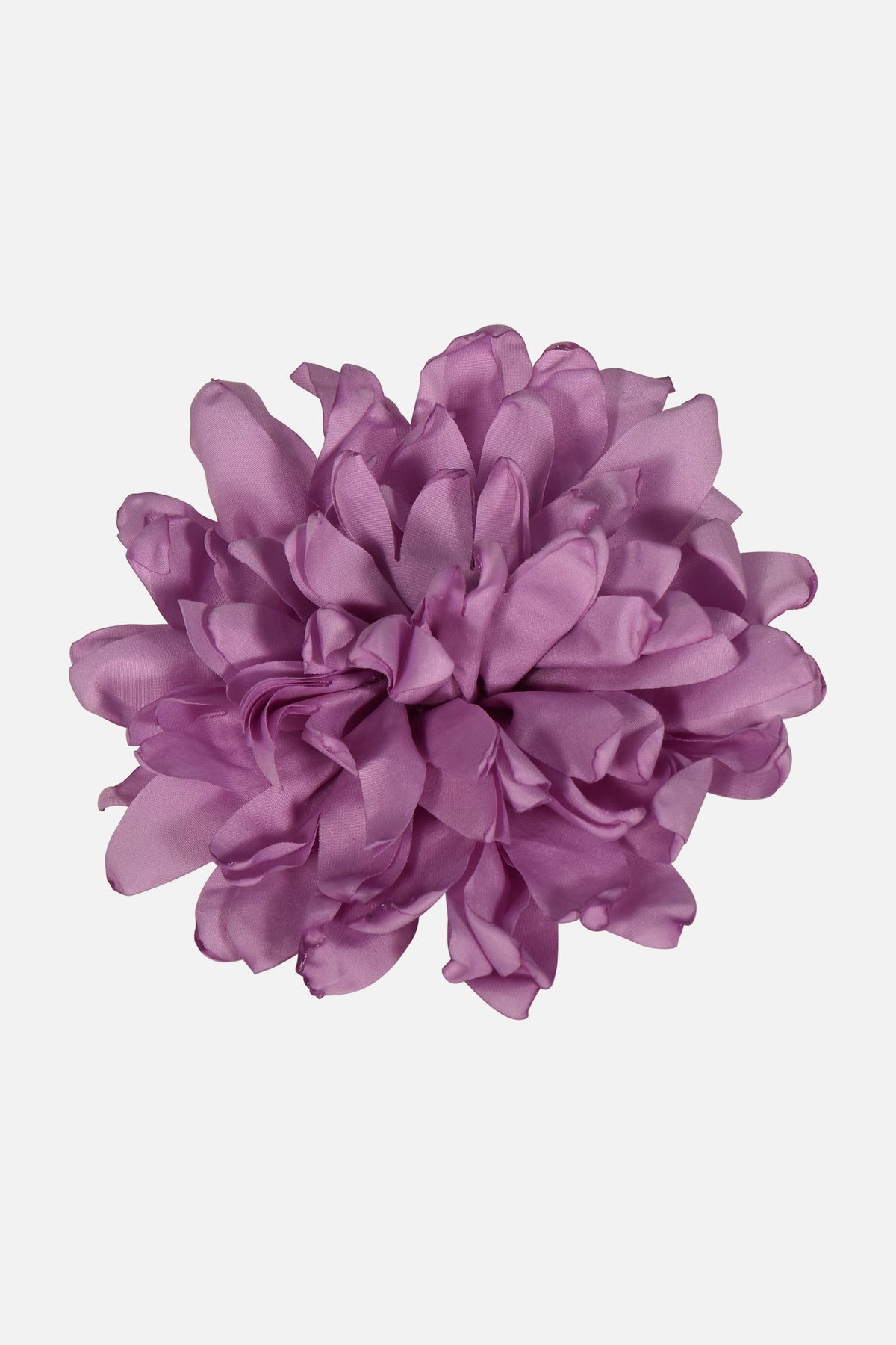 FNCAC01679.GLICINE.2.jpg