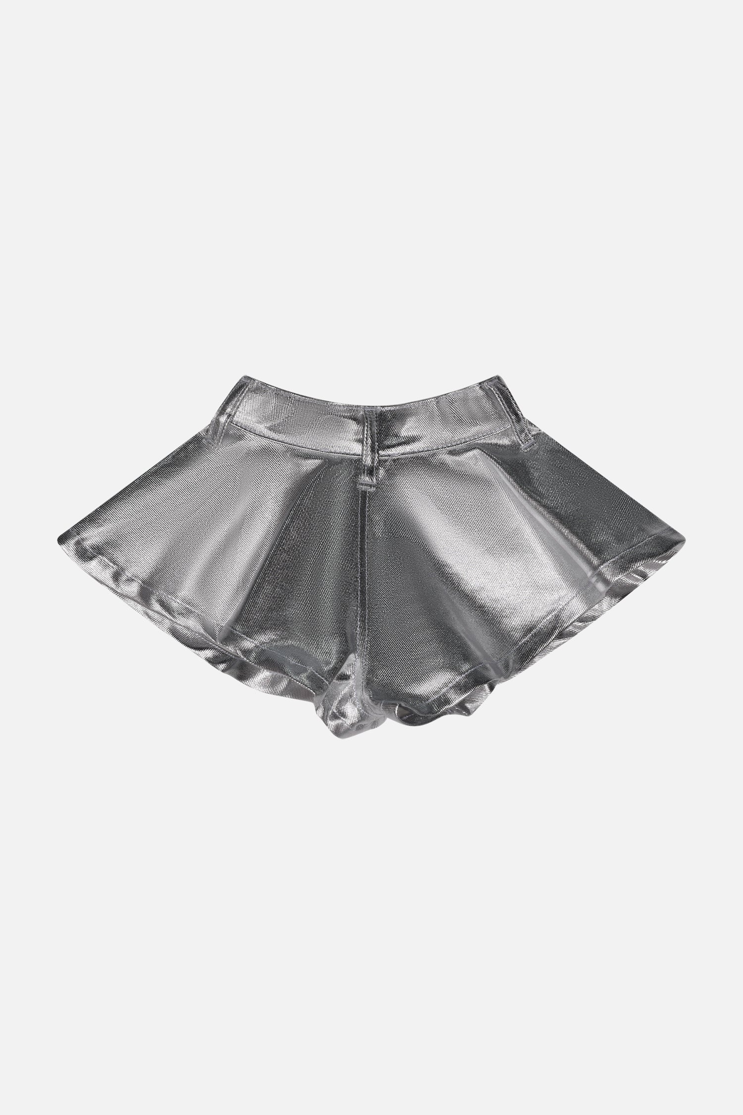 HLNSO01692.SILVER.2.jpg