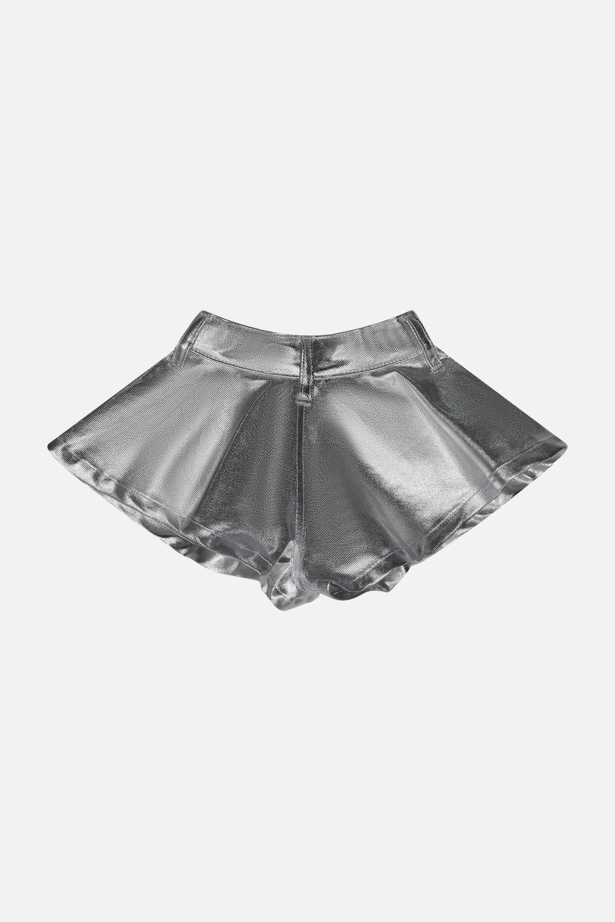 HLNSO01692.SILVER.2.jpg