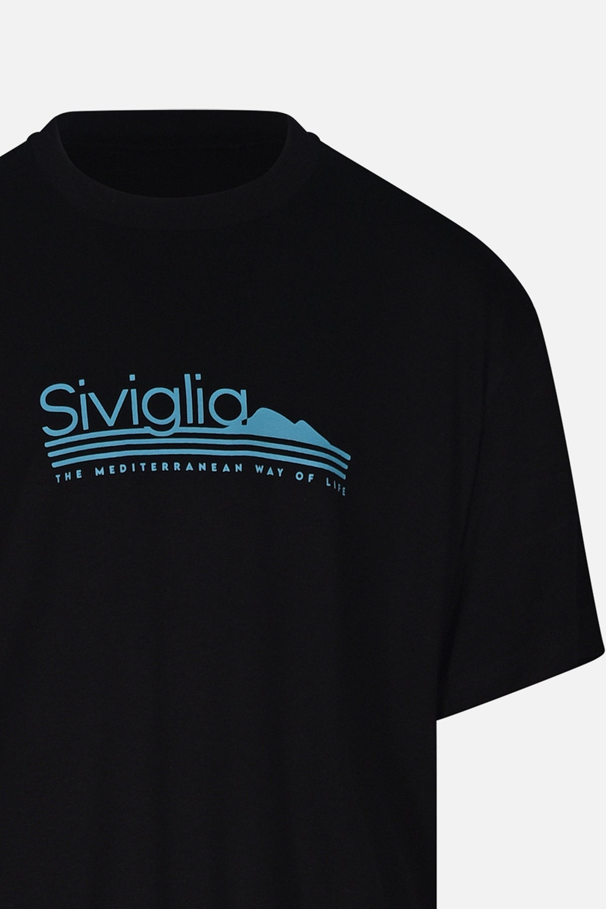 SVJTS01468.BLU.3.jpg